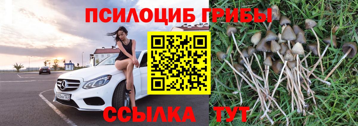 Саранск  Псилоцибиновые грибы GOLDEN TEACHER  Псилоцибиновые грибы мицелий  Вход с VPN 